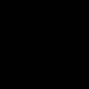 Meet your Posher, Roosevelt